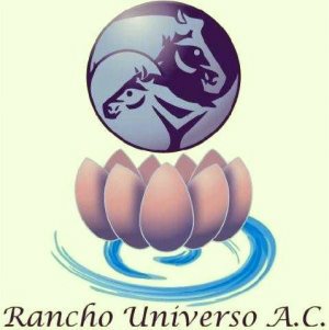 Rancho Universo A.C. Horse Sanctuary & Horse Assisted Therapy Center