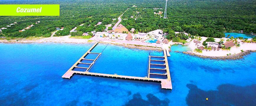 Welcome to Dolphin Discovery Cozumel at Chankanaab Beach Adventure Park!