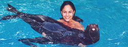 Cozumel Sea Lion Discovery