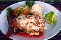 Plentiful Lobster!