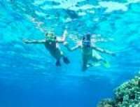 Great Snorkeling!