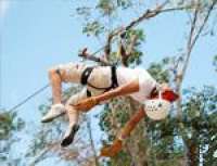 Float above the jungle canopy!