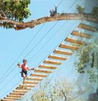 Fun bridge walks too!