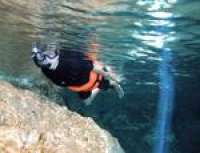 Snorkel caves and cenotes!