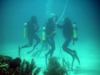 Eve - Teaching Classes Underwater