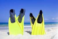 Cozumel Snorkel Tours