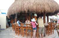 Belly Up to the Bar!
