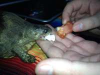 Don't Bite the Hand that Feeds You!