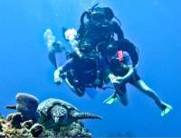 Not often you have your pic made with a turtle!