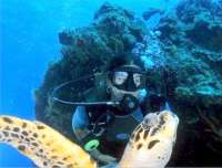 Look mom ~ I was diving with a turtle in Cozumel!