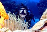 Cozumel diving at its finest!