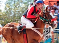 Horseracing at Cozumel Festival de Cedral!