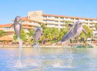 Dolphins at Dreams Puerto Aventura Resort
