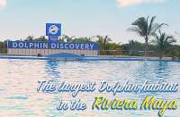 Wonderful Times at Dolphin Discovery Maroma