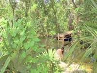 Come See the BEAUTIFUL Cenote at Mayan Steam Lodge