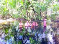 There is Room for Everyone in This Natural Cenote!