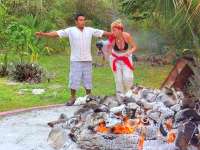 No Walking on Hot Coals, Just Learning the Ritual!
