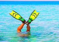 Snorkeling at El Ceilo - INCREDIBLE
