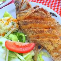 Try Our Fried Hogfish - Pick Your Own & Enjoy!