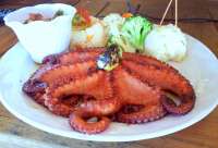 You Will Love the Seafood Here at El Pezcozon!