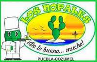 Welcome to Los Nopales Cozumel!