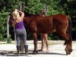 Liliana with Rescued Horse