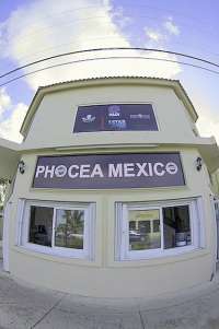 Welcome to Phocea Mexico Cozumel