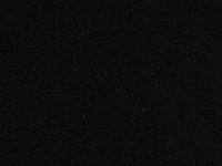 Live Webcam Image