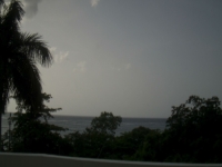 Live Webcam Image