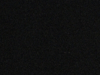 Live Webcam Image