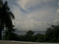 Live Webcam Image