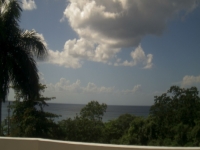 Live Webcam Image