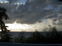 Live Webcam Image