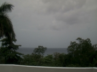 Live Webcam Image
