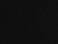 Live Webcam Image