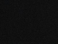 Live Webcam Image