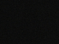 Live Webcam Image
